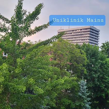 Gemuetliches An Der Uniklinik Mainz. Sehr Zentral Rum i privatbostad Mainz