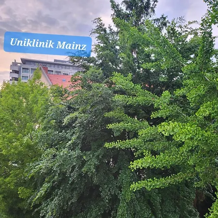 Gemuetliches An Der Uniklinik Mainz. Sehr Zentral *