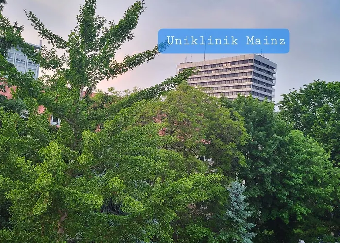 Gemuetliches An Der Uniklinik Mainz. Sehr Zentral Homestay Mainz