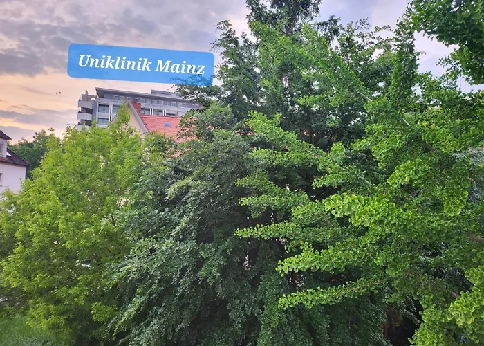 Gemuetliches An Der Uniklinik Mainz. Sehr Zentral *